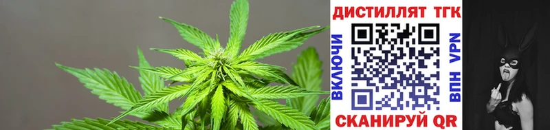 Дистиллят ТГК гашишное масло  сколько стоит  Мариинский Посад 