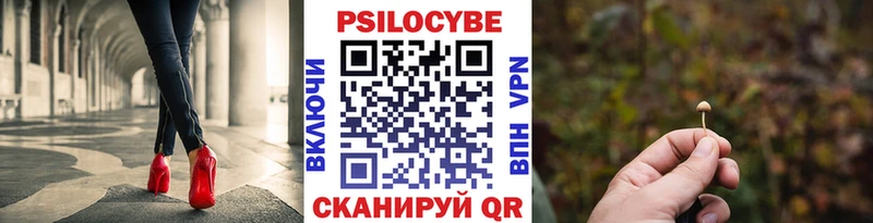 Псилоцибиновые грибы мухоморы  где купить наркотик  Мариинский Посад 